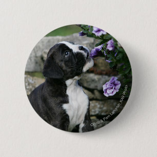 Boxer Dog Panting Ronde Button 5,7 Cm