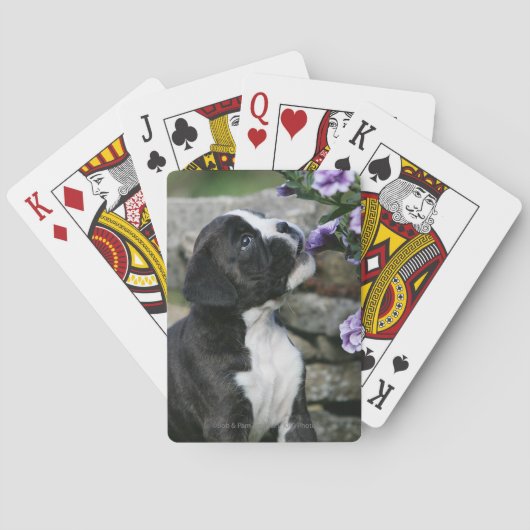 Boxer Dog Panting Speelkaarten (Achterkant)