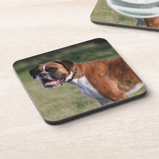 Boxer Dog Permanent Bier Onderzetter (Linkerzijde)