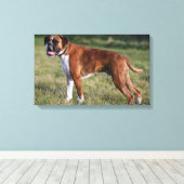 Boxer Dog Permanent Canvas Afdruk (Insitu (Houten vloer))