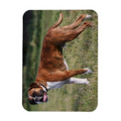 Boxer Dog Permanent Magneet (Verticaal)