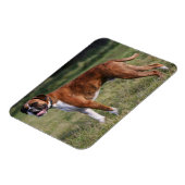 Boxer Dog Permanent Magneet (Linkerzijde)