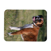 Boxer Dog Permanent Magneet (Horizontaal)