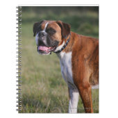Boxer Dog Permanent Notitieboek (Voorkant)