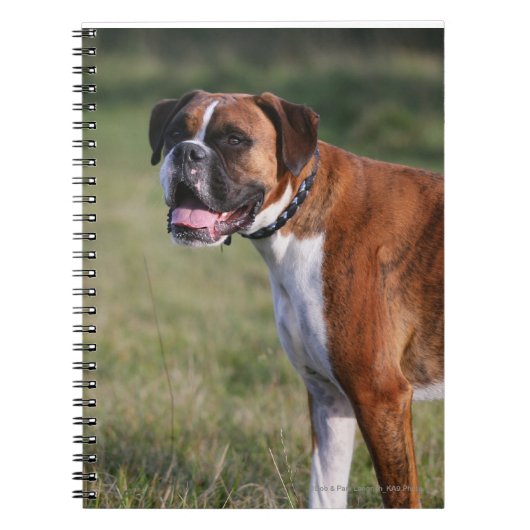 Boxer Dog Permanent Notitieboek (Voorkant)