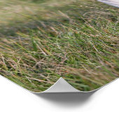 Boxer Dog Permanent Poster (Hoek)