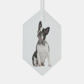 Boxer Dog Pet Animal Glass Ornament (Voorkant Rechts)