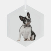 Boxer Dog Pet Animal Glass Ornament (Achterkant)