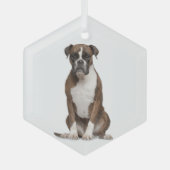 Boxer Dog Pet Animal Glass Ornament (Voorkant)