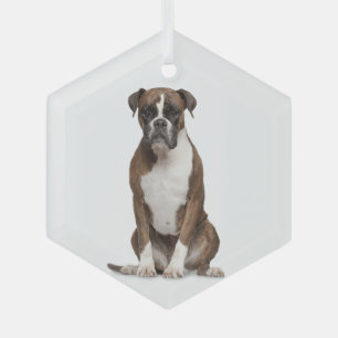 Boxer Dog Pet Animal Glass Ornament