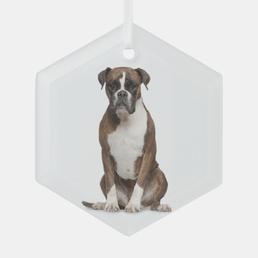 Boxer Dog Pet Animal Glass Ornament (Voorkant)