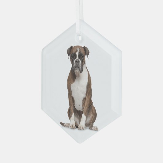 Boxer Dog Pet Animal Glass Ornament (Voorkant links)