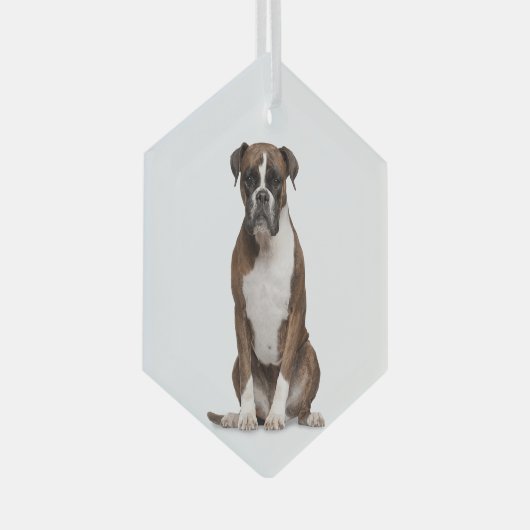 Boxer Dog Pet Animal Glass Ornament (Voorkant Rechts)