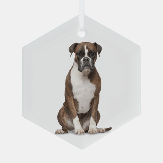 Boxer Dog Pet Animal Glass Ornament (Achterkant)