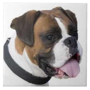 BOXER DOG, Pet Love, Best Friend KEEPSAKE Tegeltje