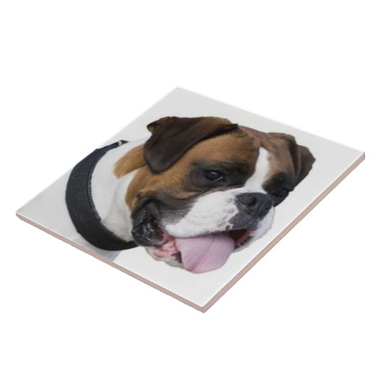 BOXER DOG, Pet Love, Best Friend KEEPSAKE Tegeltje (Zijkant)