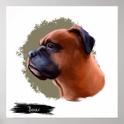 Boxer Dog Portrait | Pet Portret Wall afdrukken Poster (Voorkant)