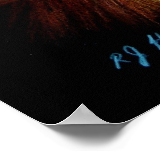 Boxer Dog print, poster (Hoek)