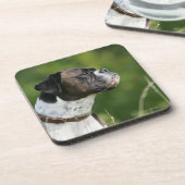 Boxer Dog-profiel Bier Onderzetter (Linkerzijde)