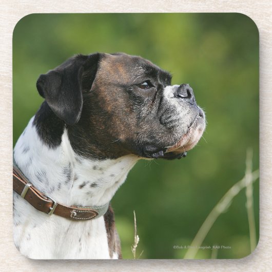Boxer Dog-profiel Bier Onderzetter (Voorkant)