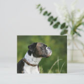 Boxer Dog-profiel Briefkaart (Staand voorkant)