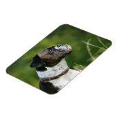 Boxer Dog-profiel Magneet (Linkerzijde)