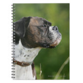 Boxer Dog-profiel Notitieboek (Voorkant)