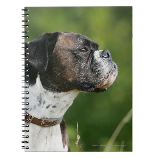 Boxer Dog-profiel Notitieboek (Voorkant)