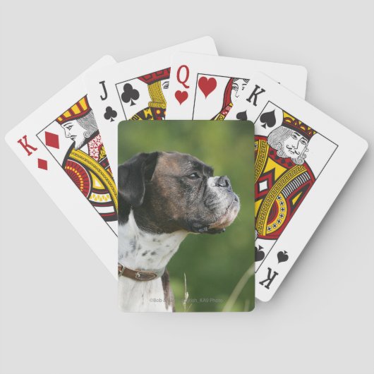 Boxer Dog-profiel Pokerkaarten (Achterkant)