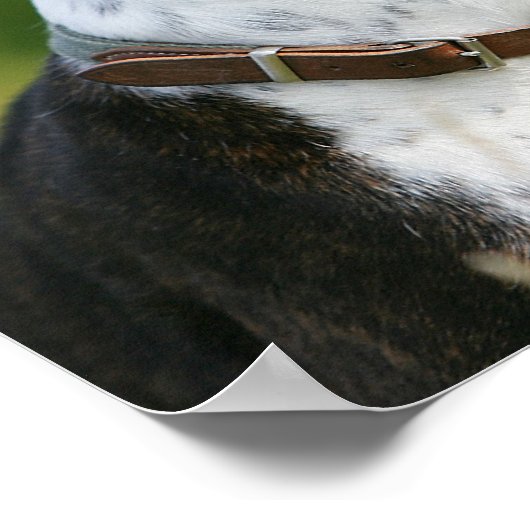 Boxer Dog-profiel Poster (Hoek)