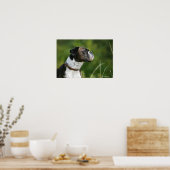 Boxer Dog-profiel Poster (Keuken)