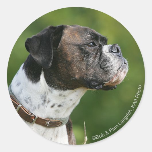 Boxer Dog-profiel Ronde Sticker (Voorkant)