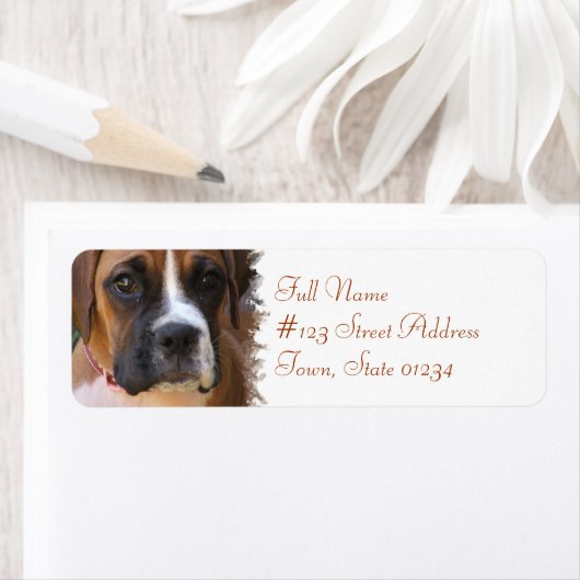 Boxer Dog Return Label (Insitu)
