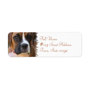 Boxer Dog Return Label