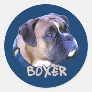 Boxer Dog Ronde Sticker