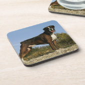 Boxer Dog Show Stance Drankjes Onderzetter (Linkerzijde)