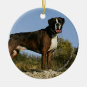Boxer Dog Show Stance Keramisch Ornament (Voorkant)