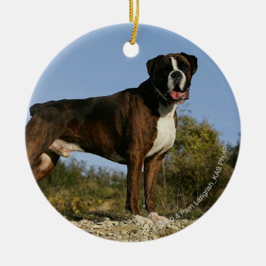 Boxer Dog Show Stance Keramisch Ornament (Voorkant)