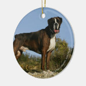 Boxer Dog Show Stance Keramisch Ornament (Links)