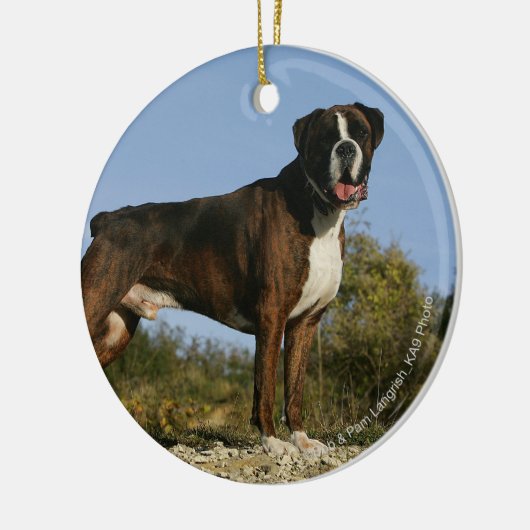 Boxer Dog Show Stance Keramisch Ornament (Links)