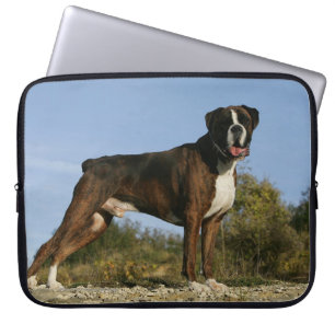 Boxer Dog Show Stance Laptop Sleeve