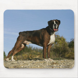 Boxer Dog Show Stance Muismat