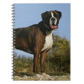 Boxer Dog Show Stance Notitieboek (Voorkant)
