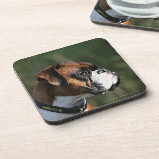 Boxer Dog Side Profile Bier Onderzetter (Linkerzijde)