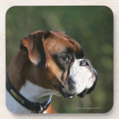 Boxer Dog Side Profile Bier Onderzetter (Voorkant)