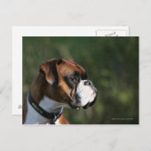 Boxer Dog Side Profile Briefkaart (Voorkant / Achterkant)