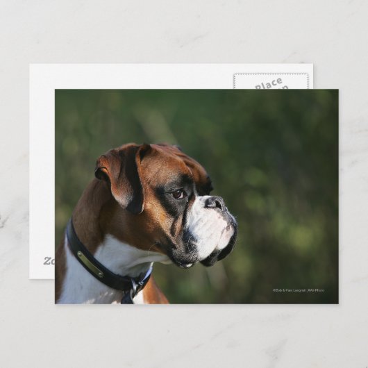 Boxer Dog Side Profile Briefkaart (Voorkant / Achterkant)