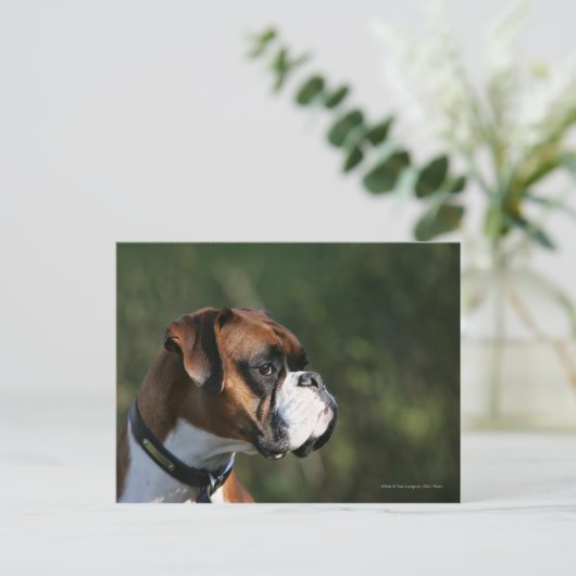 Boxer Dog Side Profile Briefkaart (Staand voorkant)