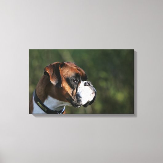Boxer Dog Side Profile Canvas Afdruk (Voorkant)