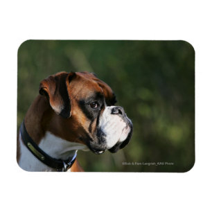 Boxer Dog Side Profile Magneet